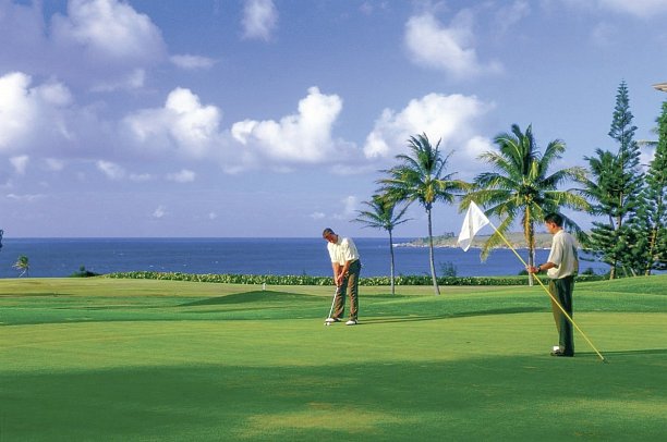 The Ritz-Carlton Maui, Kapalua