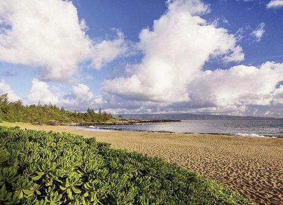 The Ritz-Carlton Maui, Kapalua