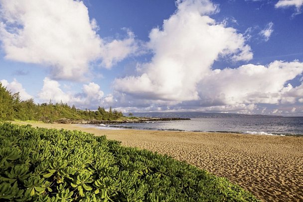 The Ritz-Carlton Maui, Kapalua