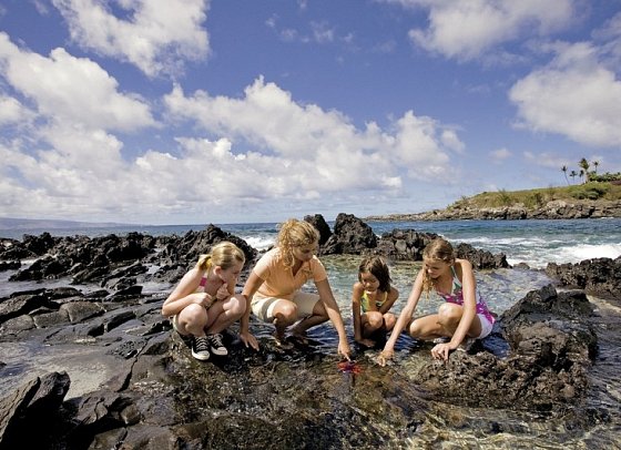 The Ritz-Carlton Maui, Kapalua