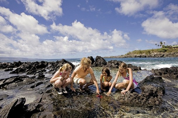 The Ritz-Carlton Maui, Kapalua