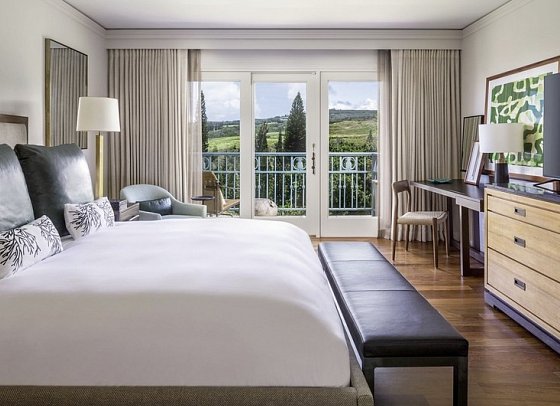 The Ritz-Carlton Maui, Kapalua - One Bedroom Suite Garden View