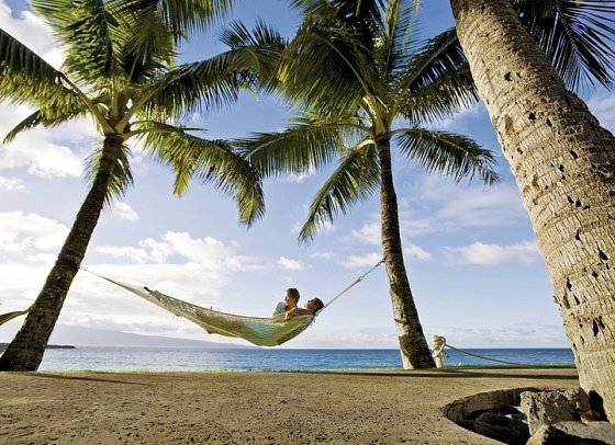 The Ritz-Carlton Maui, Kapalua