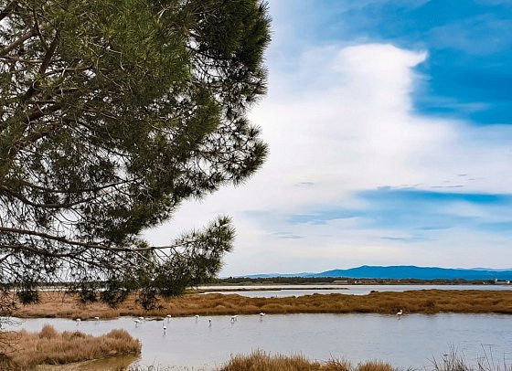 Camping S'Ena Arrubia (by Happy Camp)
