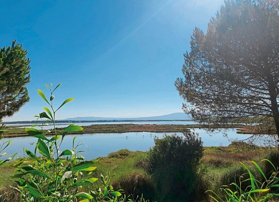 Camping S'Ena Arrubia (by Happy Camp)