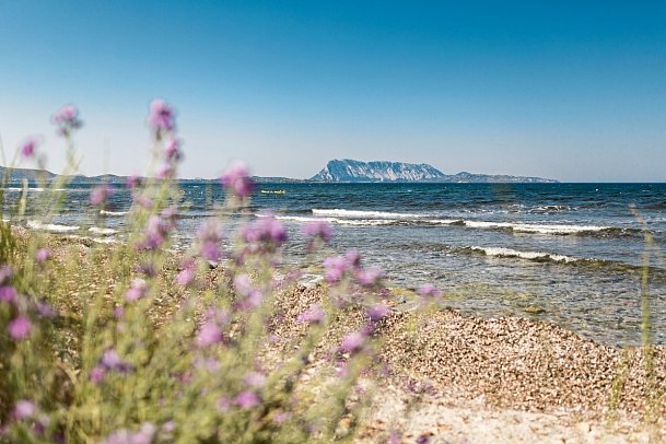 TH San Teodoro - Liscia Eldi Village