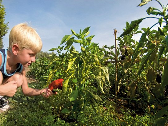 Resort & SPA Le Dune