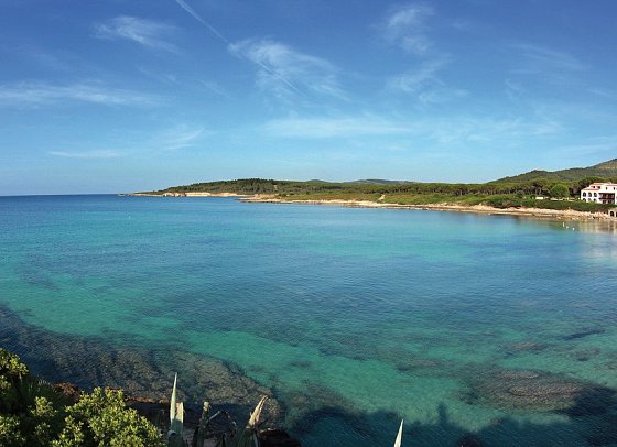 Punta Negra