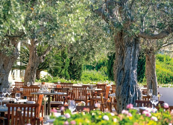 Anassa