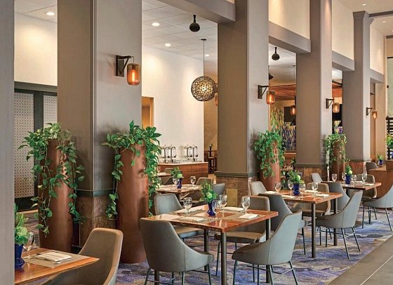 Hilton Scottsdale Resorts & Villas
