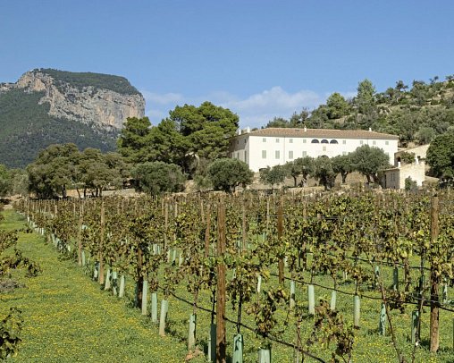 Finca Banyols, Vignette Collection by IHG