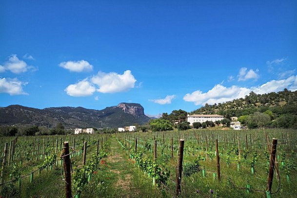 Finca Banyols, Vignette Collection by IHG
