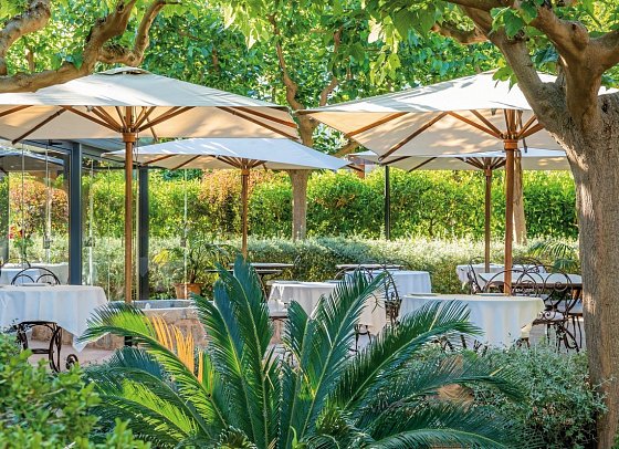 Finca Ca's Curial