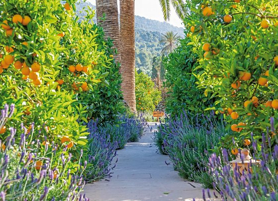 Finca Ca's Curial