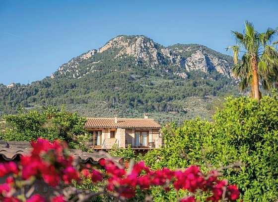 Finca Ca's Curial