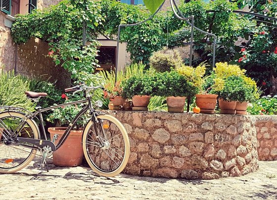 Finca Ca's Curial