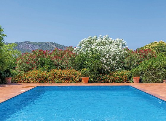 Finca Ca's Curial
