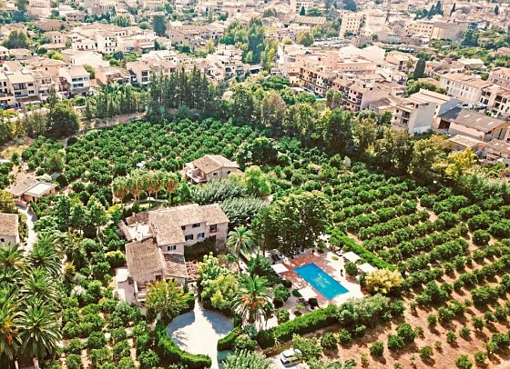 Finca Ca's Curial
