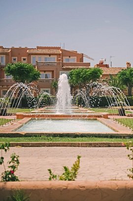 Ciudad Laurel