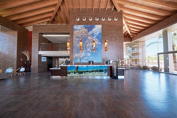 Occidental Cala Viñas