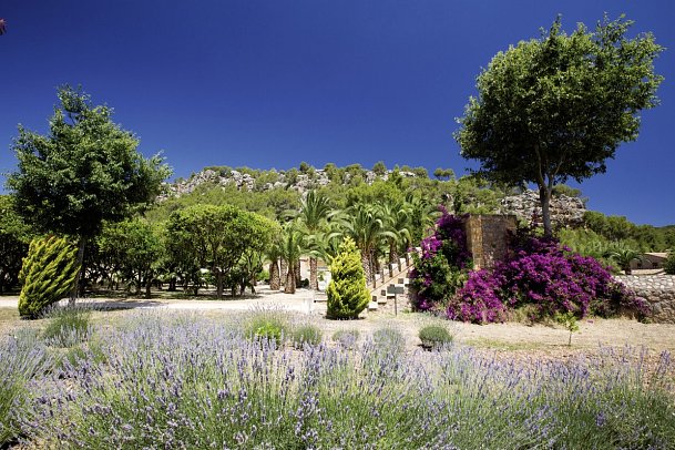 Finca Ca N'Ai Bio Retreat - Umgebung