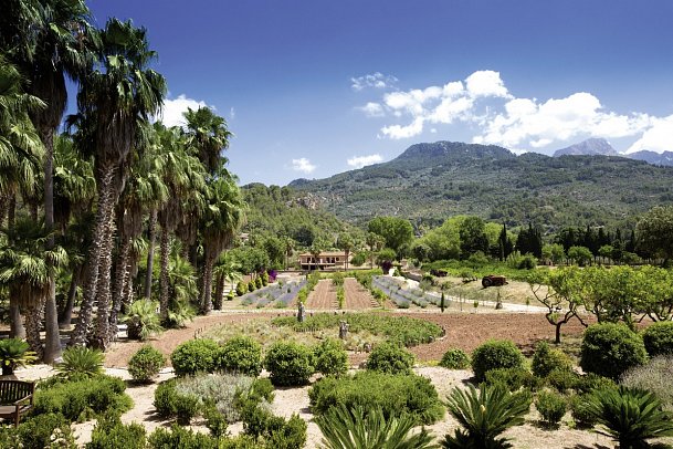 Finca Ca N'Ai Bio Retreat - Umgebung