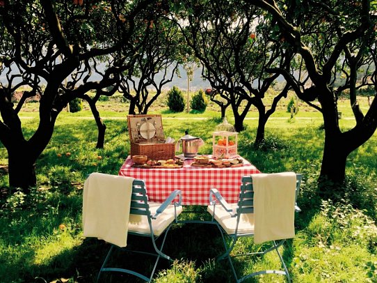 Finca Ca N'Ai Bio Retreat