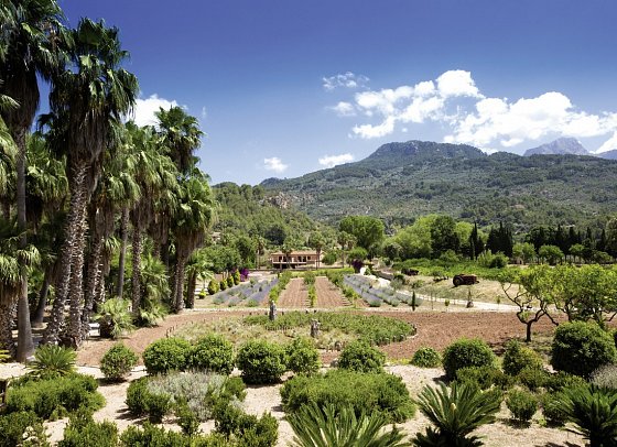 Finca Ca N'Ai Bio Retreat - Umgebung