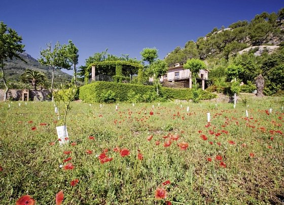 Finca Ca N'Ai Bio Retreat