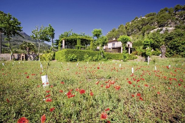 Finca Ca N'Ai Bio Retreat