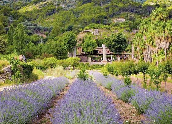 Finca Ca N'Ai Bio Retreat