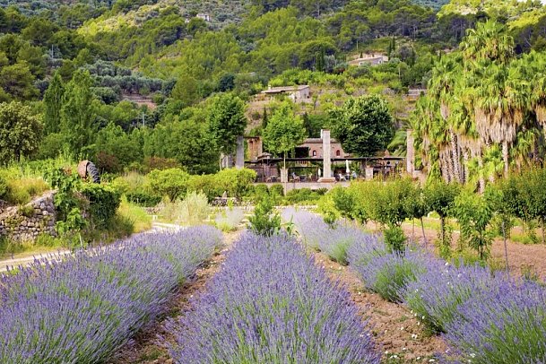 Finca Ca N'Ai Bio Retreat