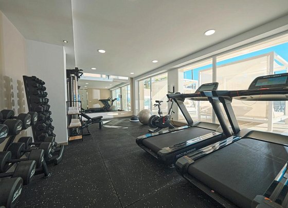BQ Apolo