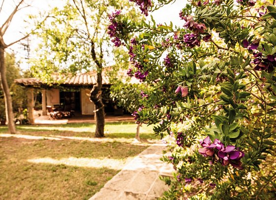 Rural Aumallia & Spa
