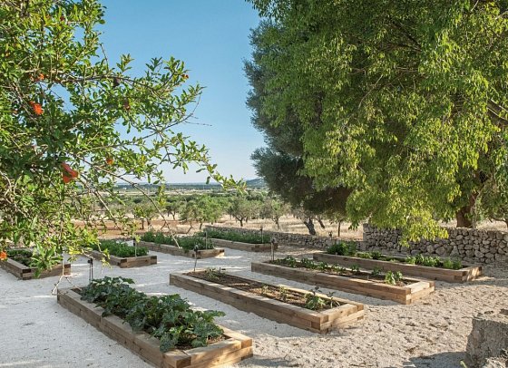 The Lodge Mallorca