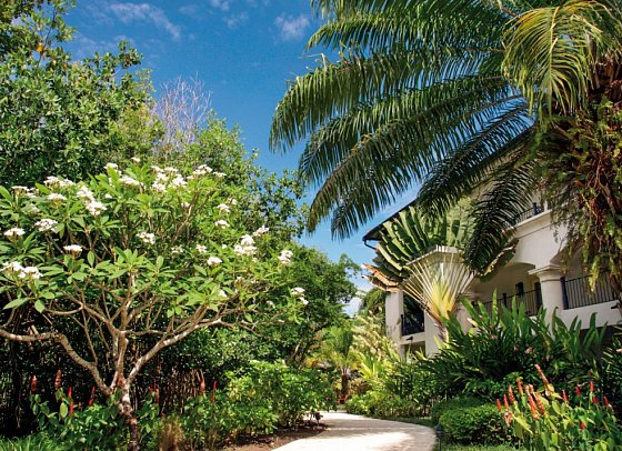 Casa Colonial Beach & Spa