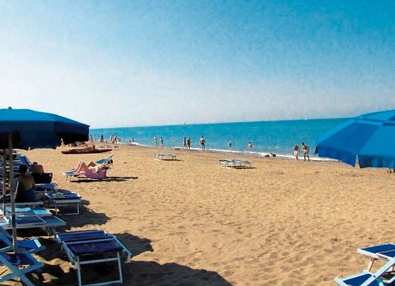 Camping Free Beach (by Happy Camp)