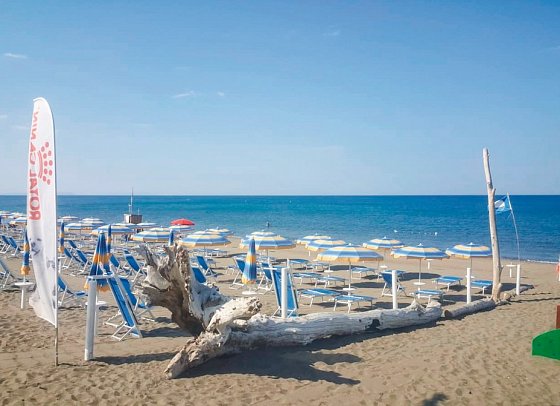 Camping Free Beach (by Happy Camp)