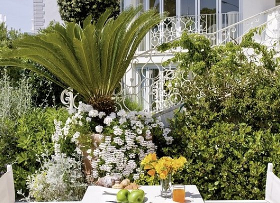 Hotel Il Negresco