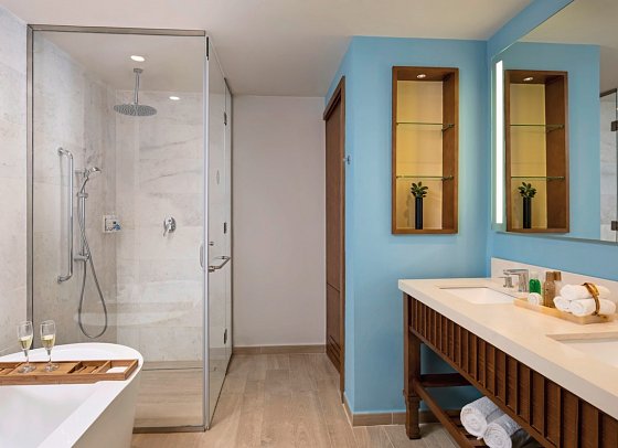 Dreams Cap Cana Resort & Spa - Beispiel Bad Preferred Club Deluxe Swim Out (Zimmercodierung WDQ)