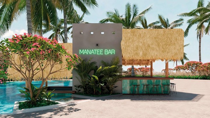 Dreams Playa Esmeralda Resort & Spa - Poolbar