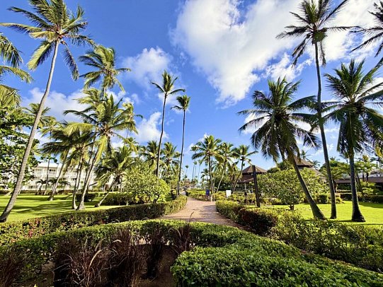 VIK Hotel Arena Blanca