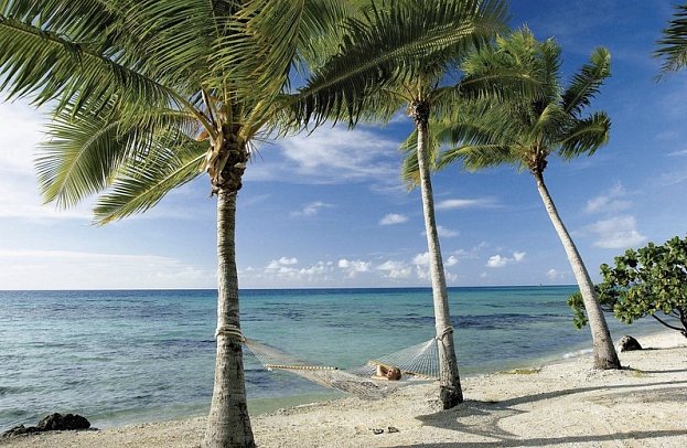 Tropical Deluxe Princess