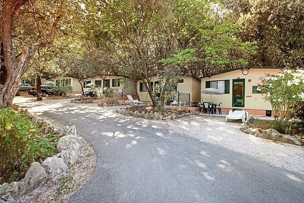 Camping Oliva