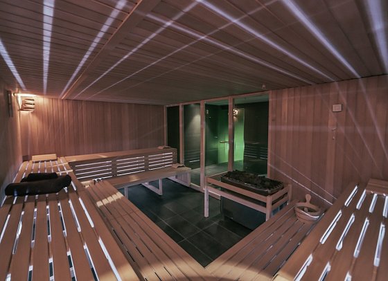 Park Plaza Belvedere - Sauna