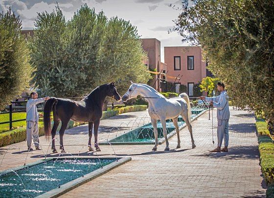 Selman Marrakech