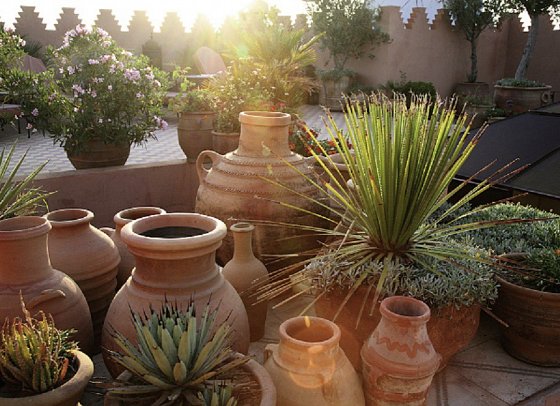Riad Ifoulki