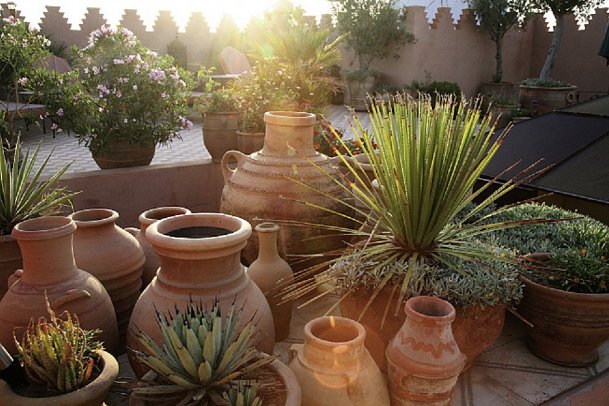 Riad Ifoulki