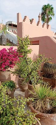Riad Ifoulki