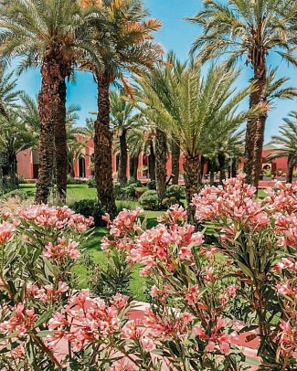 Kenzi Club Agdal Medina